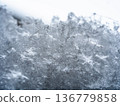 Snow in Tokyo 136779858