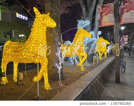 Horse illumination Horse illumination 136780260
