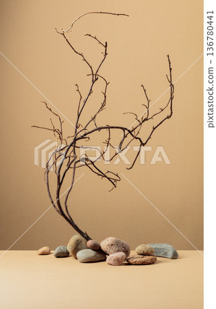An intricately entwined branches and smooth stones against a beige background. An intricately entwined branches and smooth stones against a beige background. 136780441