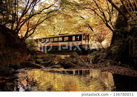 Traveling along the Kinu Road in late autumn... "Rapid AIZU Mount Express" at Ryuokyo Station 136780851