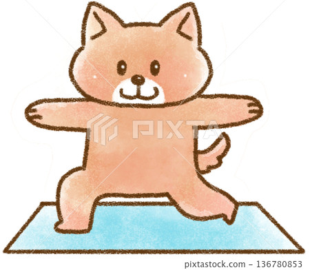 面向前方的狗狗擺出瑜珈姿勢 面向前方的狗狗擺出瑜珈姿勢 136780853