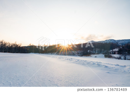 Evening view of the snowy field Evening view of the snowy field 136781489