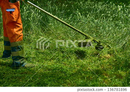 Summer lawn work.Grass cutting with handle lawn mower  136781896
