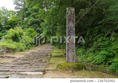 平泉寺白山神社精神坂 平泉寺白山神社精神坂 136782002