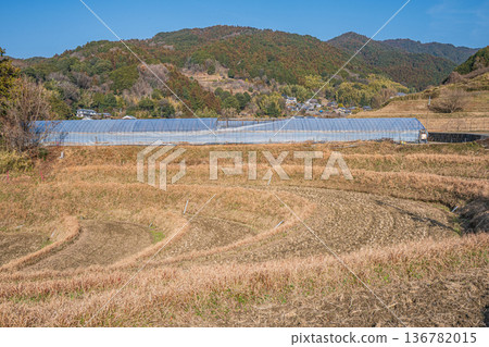 Sakata Rice Terraces, a scenic spot in Asuka Village, Nara Prefecture Sakata Rice Terraces, a scenic spot in Asuka Village, Nara Prefecture 136782015