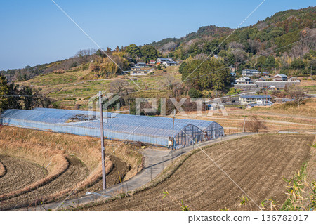 Sakata Rice Terraces, a scenic spot in Asuka Village, Nara Prefecture Sakata Rice Terraces, a scenic spot in Asuka Village, Nara Prefecture 136782017