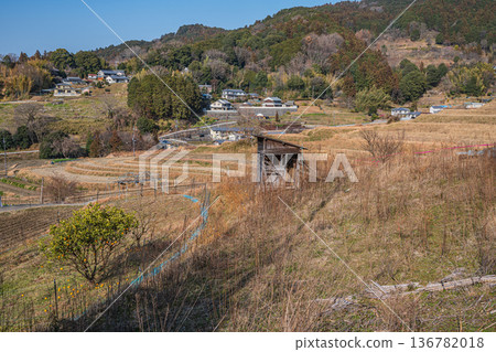 Sakata Rice Terraces, a scenic spot in Asuka Village, Nara Prefecture Sakata Rice Terraces, a scenic spot in Asuka Village, Nara Prefecture 136782018
