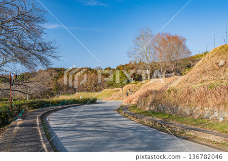 奈良縣155號縣道飛鳥村的里山景色 奈良縣155號縣道飛鳥村的里山景色 136782046