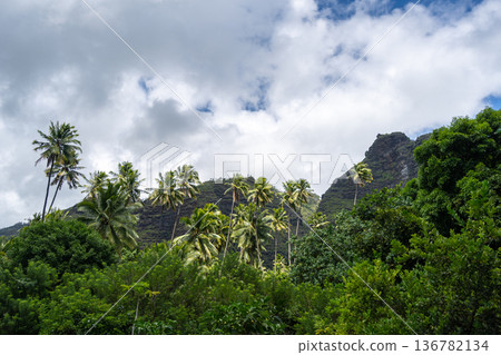 Tropical forest and Mount Temetiu in Hiva Oa, Marquesas Islands, French Polynesia 136782134