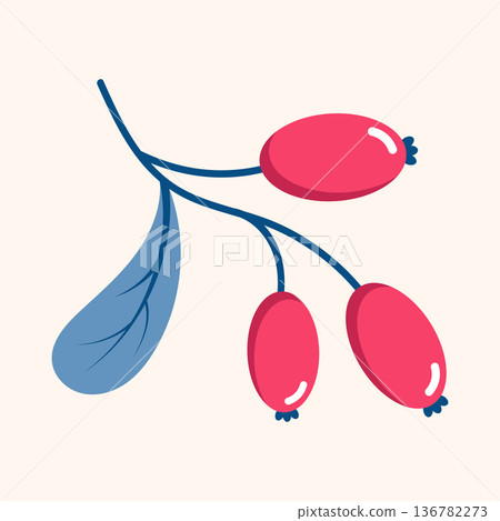 Red berries. Winter plant. Winter branches and leaves. Winter floral elements. Holiday decoration. Vector illustration Red berries. Winter plant. Winter branches and leaves. Winter floral elements. Holiday decoration. Vector illustration 136782273