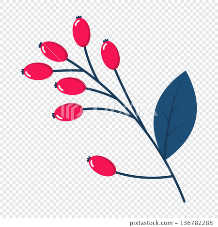 Red berries. Winter plant. Winter branches and leaves. Winter floral elements. Holiday decoration. Vector illustration 136782288