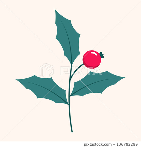 Red berries. Winter plant. Winter branches and leaves. Winter floral elements. Holiday decoration. Vector illustration Red berries. Winter plant. Winter branches and leaves. Winter floral elements. Holiday decoration. Vector illustration 136782289