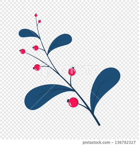 Red berries. Winter plant. Winter branches and leaves. Winter floral elements. Holiday decoration. Vector illustration 136782327