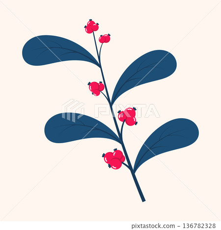 Red berries. Winter plant. Winter branches and leaves. Winter floral elements. Holiday decoration. Vector illustration 136782328