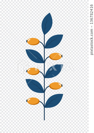 Wild berries. Winter plant. Winter branches and leaves. Winter floral elements. Holiday decoration. Vector illustration Wild berries. Winter plant. Winter branches and leaves. Winter floral elements. Holiday decoration. Vector illustration 136782416