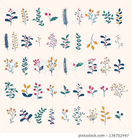 Set of wild and garden berries with branches and leaves. Winter botanical vector set. Winter floral elements. Holiday decoration and design Set of wild and garden berries with branches and leaves. Winter botanical vector set. Winter floral elements. Holiday decoration and design 136782447