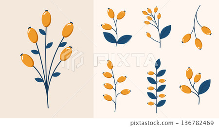 Set of wild berries. Winter plants. Winter branches and leaves. Winter floral elements. Holiday decoration. Vector illustration Set of wild berries. Winter plants. Winter branches and leaves. Winter floral elements. Holiday decoration. Vector illustration 136782469