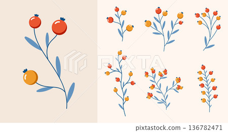 Set of wild berries. Winter plants. Winter branches and leaves. Winter floral elements. Holiday decoration. Vector illustration 136782471