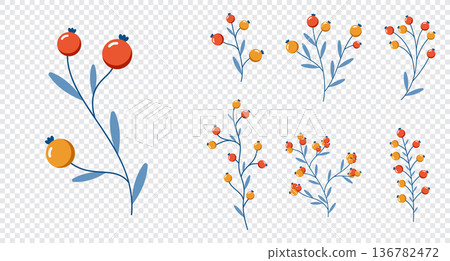 Set of wild berries. Winter plants. Winter branches and leaves. Winter floral elements. Holiday decoration. Vector illustration 136782472