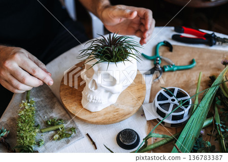 Hands arrange plant in skull shaped planter on table with gardening tools. Therapeutic hobbies, slow living, mental wellness, creative flow, stress relief through art. 136783387