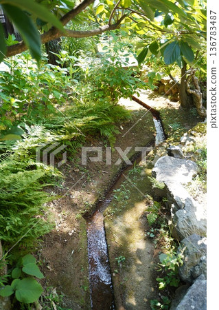 A stream in the garden 136783487