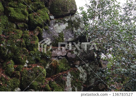 Masonry Masonry 136783527