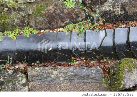 Drain Drain 136783552