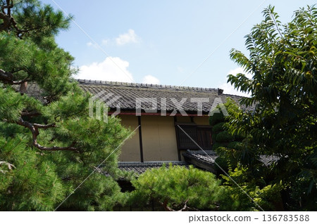 Streets of Obuse 136783588