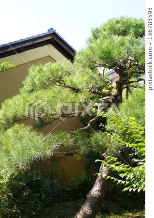 Obuse的街道 136783593