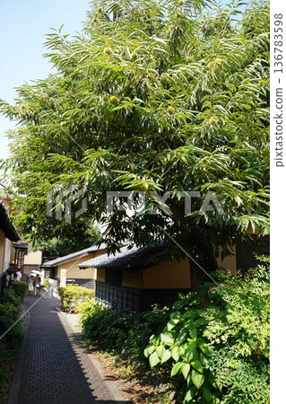 Obuse的街道 136783598