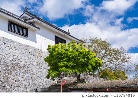 Saga Prefecture: Karatsu Castle in the Spring Green Season Saga Prefecture: Karatsu Castle in the Spring Green Season 136784019