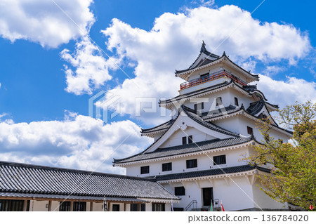 Saga Prefecture: Karatsu Castle in the Spring Green Season Saga Prefecture: Karatsu Castle in the Spring Green Season 136784020