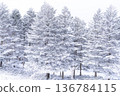 《長野縣》冬季霧谷高原，原始霜凍森林 136784115