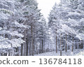 《長野縣》冬季霧谷高原，原始霜凍森林 136784118