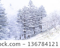 《長野縣》冬季霧谷高原，原始霜凍森林 136784121