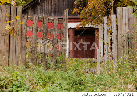 Weathered wooden gate leading to an overgrown entrance of an abandoned building in autumn 136784321