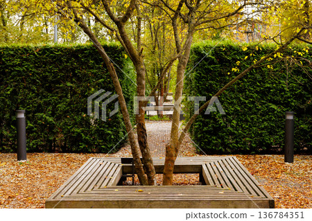 Nature blends with modern design in a serene urban park in autumn Nature blends with modern design in a serene urban park in autumn 136784351