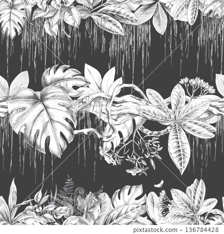 A seamless pattern depicting a tropical forest with climbing plants and varied foliage on a dark background. Isolated illustration for botanical branding, travel brochures, organic products. A seamless pattern depicting a tropical forest with climbing plants and varied foliage on a dark background. Isolated illustration for botanical branding, travel brochures, organic products. 136784428