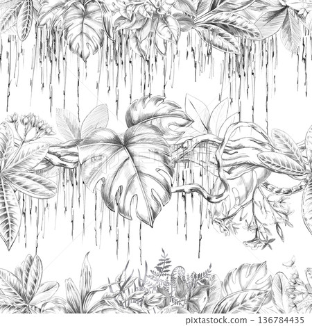 A seamless pattern featuring a tropical forest with climbing vines and varied foliage. Isolated illustration for botanical branding, travel brochures, organic products, and natural cosmetics. A seamless pattern featuring a tropical forest with climbing vines and varied foliage. Isolated illustration for botanical branding, travel brochures, organic products, and natural cosmetics. 136784435