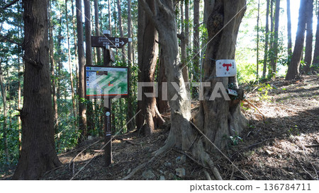 Mankanmine Mountain Trail 136784711