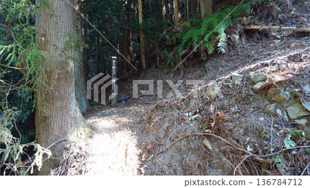 Mankanmine Mountain Trail 136784712