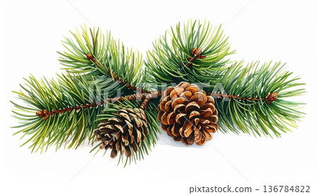 A festive spruce branch adorned with a green pine cone and holiday ornaments brings the essence of a winter nature scene to this Christmas season decoration 136784822