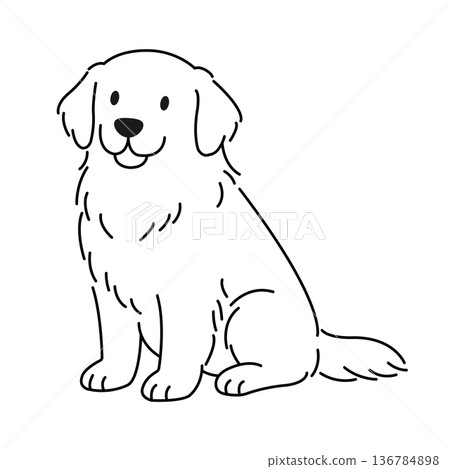 黃金獵犬坐著 黃金獵犬坐著 136784898