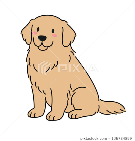 Golden retriever sitting Golden retriever sitting 136784899