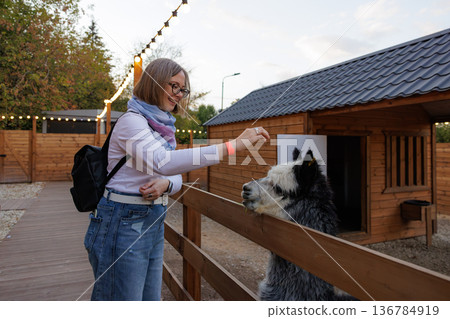Joyful interaction with a gentle animal at a charming farm during a sunny afternoon in the countryside Joyful interaction with a gentle animal at a charming farm during a sunny afternoon in the countryside 136784919