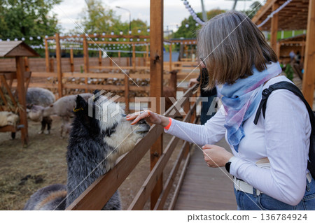 Enjoying a gentle moment with a furry friend in a cozy animal petting area Enjoying a gentle moment with a furry friend in a cozy animal petting area 136784924