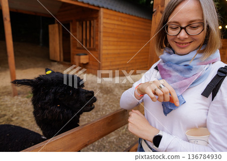 Smiling softly as a playful llama reaches for a treat during an evening visit at the animal sanctuary Smiling softly as a playful llama reaches for a treat during an evening visit at the animal sanctuary 136784930