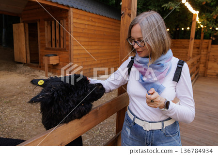 Exploring the connection between a woman and an alpaca during a cozy evening at a farm Exploring the connection between a woman and an alpaca during a cozy evening at a farm 136784934