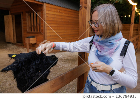 Woman interacts lovingly with a black llama at a cozy farm during an early evening gathering Woman interacts lovingly with a black llama at a cozy farm during an early evening gathering 136784935