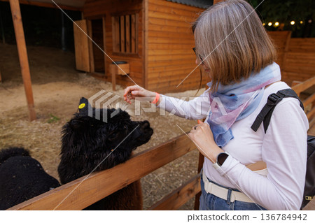 Woman gently feeding an alpaca at a farm during a sunny afternoon, enjoying a peaceful countryside moment 136784942